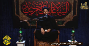 حجت الاسلام سید محمد علی مرتضوی